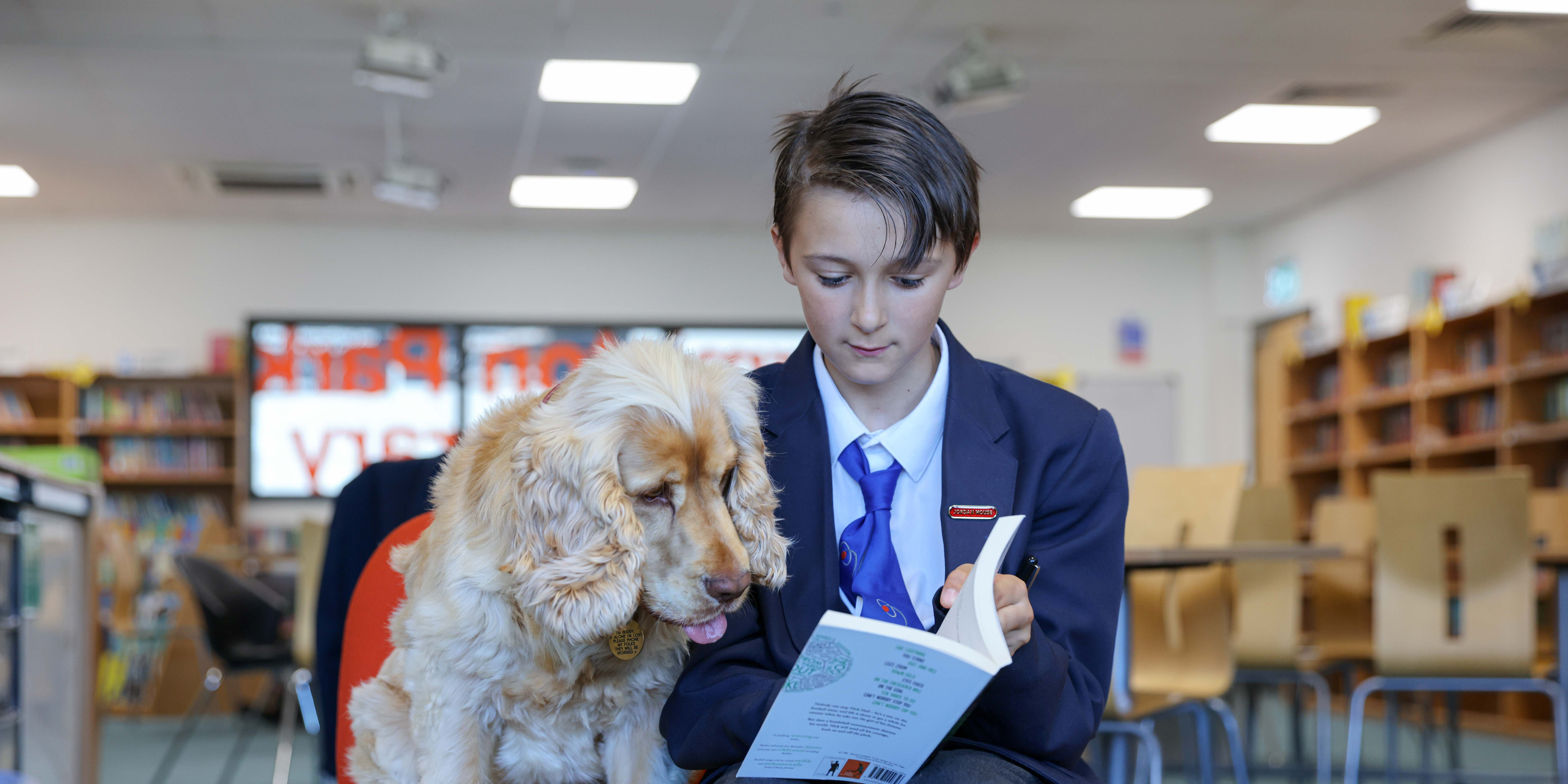 Meet Buddy – Our Support Dog